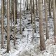DSC06757-ck