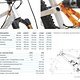 NICOLAI - ION G15 - Messeflyer