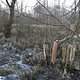Tegeler Fließ - Moor gefroren