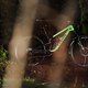 Foto Chris Spath Canyon Spectral 2021 Test-8330