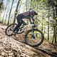 specialized-enduro-action-5350