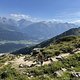 IMG 4567