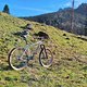 Morning Ride