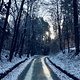 Winterpokal-Aktivität