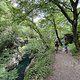 IMG 8341
