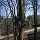 Bike Beerfelden P 229