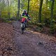 IMG 2393