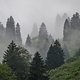 Tagelang begleitet uns dichter Nebel, der nur selten auflockert