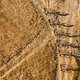 Riders during stage 1 of the 2016 Absa Cape Epic Mountain Bike stage race held from Saronsberg Wine Estate in Tulbagh, South Africa on the 14th March 2016

PLEASE ENSURE THE APPROPRIATE CREDIT IS GIVEN TO THE PHOTOGRAPHER AND SPORTZPICS ALONG WITH 