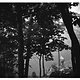 2011, DH WC Mont Sainte Anne. Im dunklen Wald bei Regen ohne Blitz fotografiert. Es funktionierte nur, weil der Nebel eine helle Wand bildete.