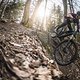 specialized-stumpjumper-evo-2947