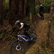 Ibis Cycles HD6 Riding (13)