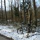 Winterpokal-Aktivität