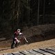 IMG 6015