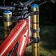 Das kurze Steuerrohr des 901 ermöglicht eine tiefe Front.