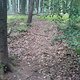 DSC00233