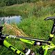 IMG 1232