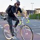 CriticalMass 1504 2233b