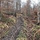 Wilhelm-Trail-unten2