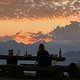 IMG 4221