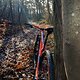 MTB-Winterpokal 2024/25🚵💨 
#5 Hohe Schrecke