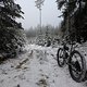 Winter-Stooge 🚲❄️