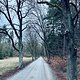 Winterpokal-Aktivität