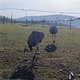 Brötchen und sowas