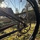 IMG 1811