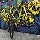 IMG 2645
