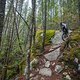 BC Squamish - Souerkraut