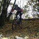 Herbst Action