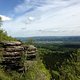 IMG 0348
