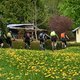 130509 Eltzbachtal23