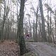 IMG 1390