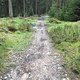 Flowtrail Feldberg