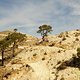 IMG 20180226 110459