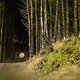 David McMillan performs during Red Bull Hardline at Dinas Mawddwy, Wales on September 11, 2022 // Samantha Saskia Dugon / Red Bull Content Pool // SI202209110464 // Usage for editorial use only //