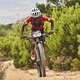 during Stage 4 of the 2025 Absa Cape Epic Mountain Bike stage race held at Fairview, Paarl, Cape Town, South Africa on the 20th March 2025. Photo by Michael Chiaretta/Cape Epic
PLEASE ENSURE THE APPROPRIATE CREDIT IS GIVEN TO THE PHOTOGRAPHER AND ABS