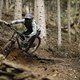Das Orbea Rallon vermittelt viel Sicherheit und man steht hervorragend und tief ins Bike integriert.