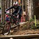 Lachie Stevens-McNab hatte bisher nicht die Saison, die er sich nach seinem Wechsel zu Trek Factory Racing wohl gewünscht hat.