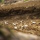 Verkaufe Mountainbikestrecke, quasi neuwertig, braucht minimal Pflege.