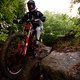 IMG 0502