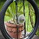 20130429-IMG 0032