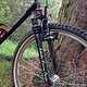 IRD Expedition Fork