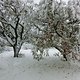 CIMG0926 forum