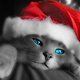 kitty-santa-wallpapers 4342 1024x768