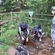 Eifel54