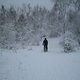 IMG 5607