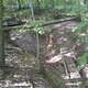 DSC00644
